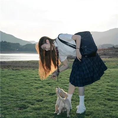 妙妙龙 海报