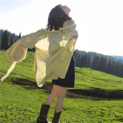 铁拳无敌 海报
