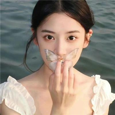 兰闺飞凤 海报